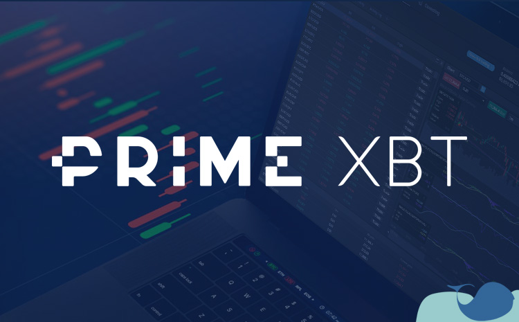 The Ultimate Guide to Using the PrimeXBT Telegram Bot 13 The Ultimate Guide to Using the PrimeXBT Telegram Bot 13